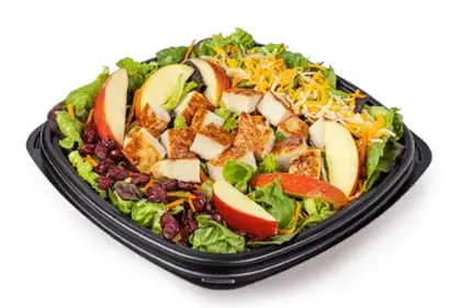 Apple & Cranberry Chicken Salad
